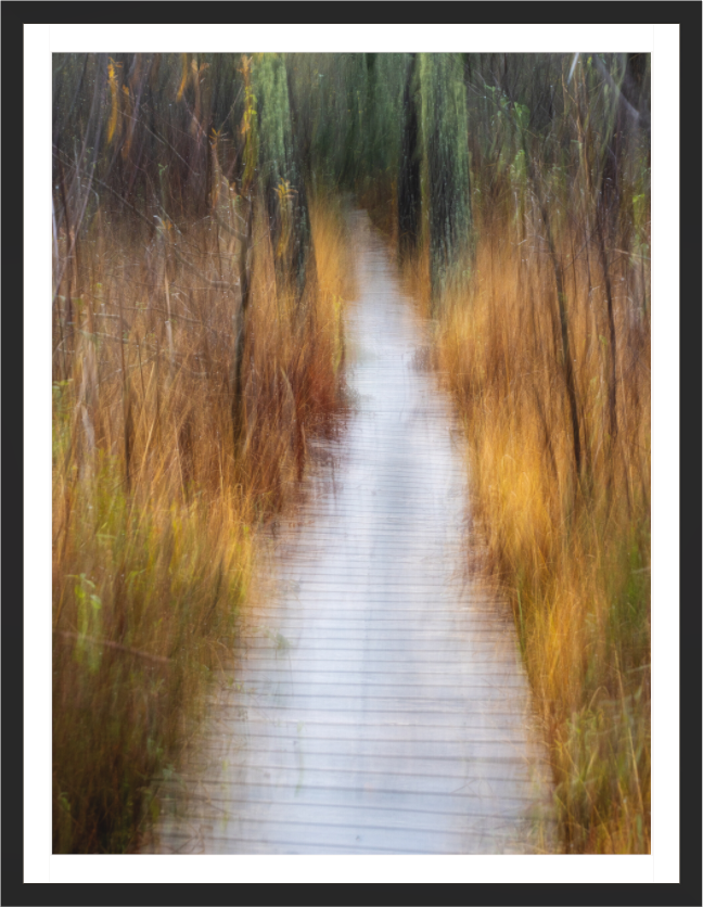 Main image Dreamlike vision #11 - Vision onirique #11