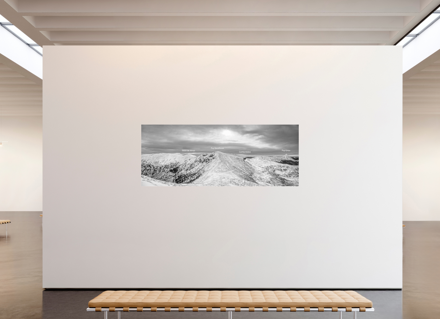 229,7 x 90 cm, Tirage noir et blanc sur plaque alu, avec une protection en plexiglass (durabilité-profondeur) Massif cantalien