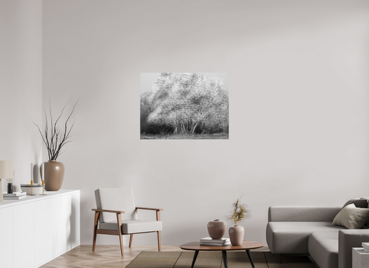 100 x 75 cm, Impression directe couleur ou noir et blanc sur plaque d'aluminium (Solidité-Durabilité) Clones