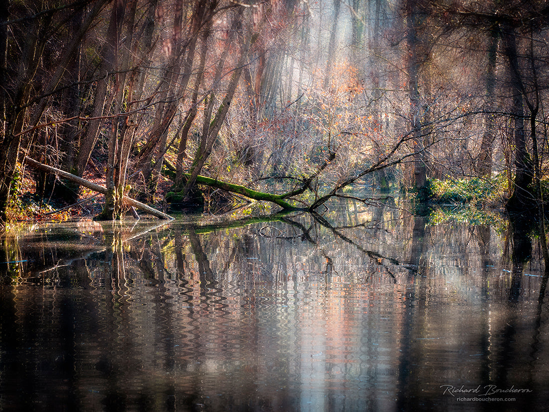 Main image Dreamlike vision #17 - Vision onirique #17 Poster Photo Artistique pour Décoration Murale