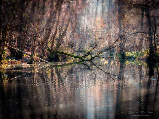 Main image Dreamlike vision #17 - Vision onirique #17 Poster Photo Artistique pour Décoration Murale