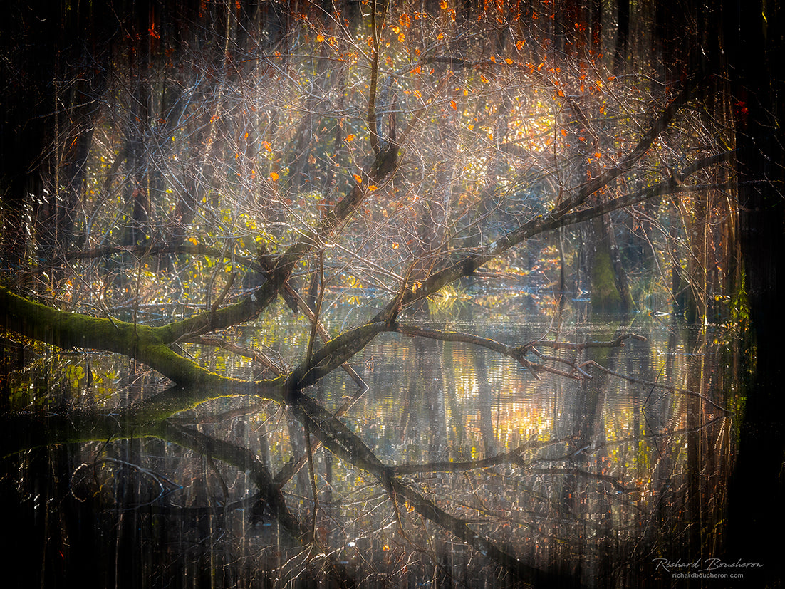 Main image Dreamlike vision #18 - Vision onirique #18 Poster Photo Artistique pour Décoration Murale