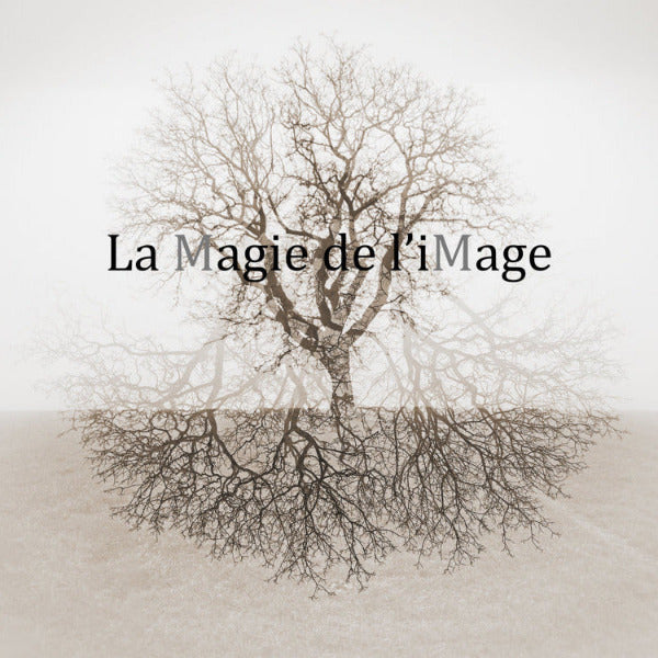la Magie de l'iMage