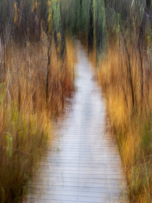 Main image Dreamlike vision #11 - Vision onirique #11 Poster Photo Artistique pour Décoration Murale