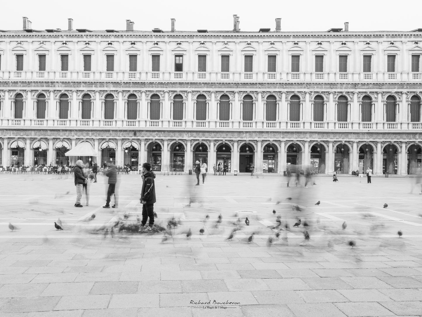 In the movement of St Mark's Square - Black and white photograph