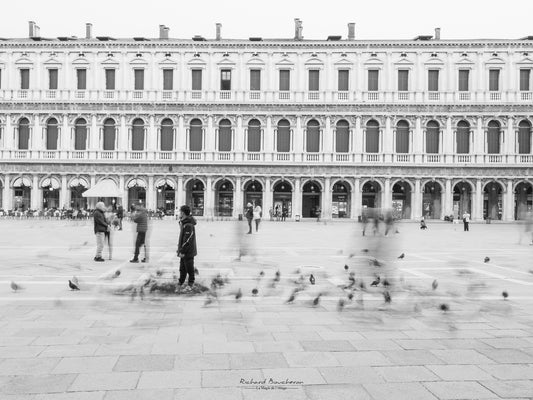 In the movement of St Mark's Square - Black and white photograph