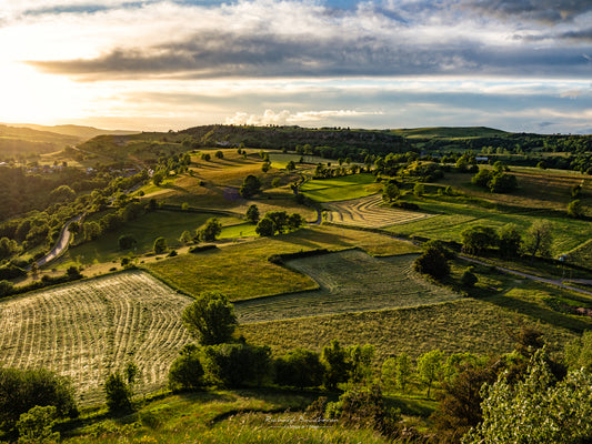 Paysage d'Auvergne en période de fenaison