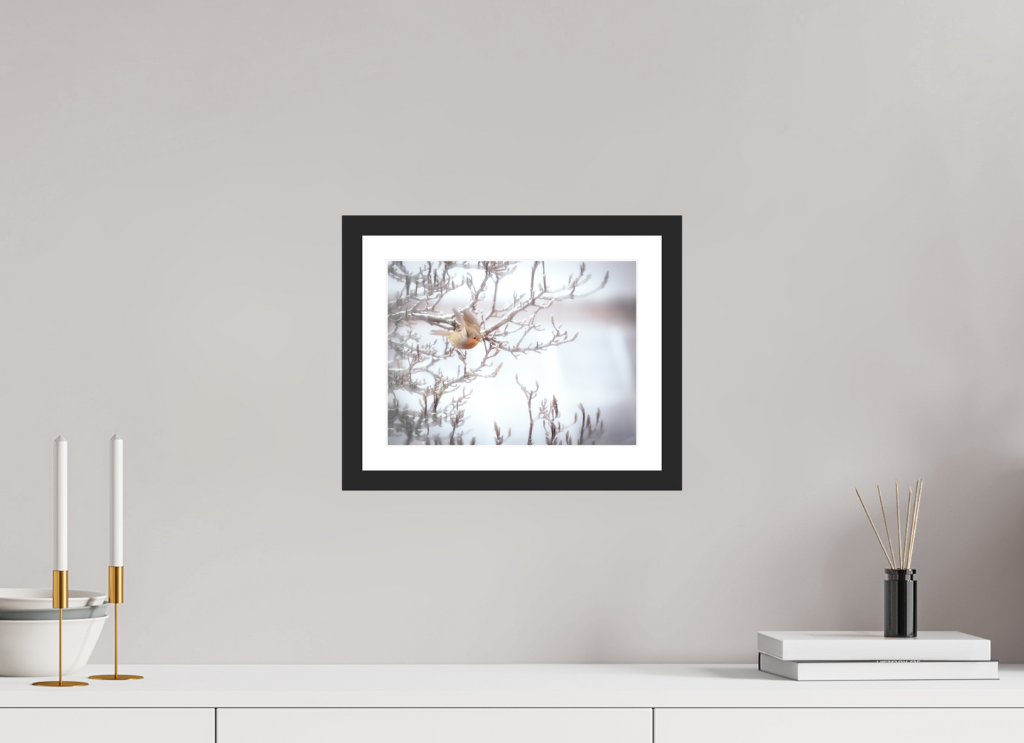 28 x 21 cm, 3- Tirage couleur + p.p + cadre Animal #5