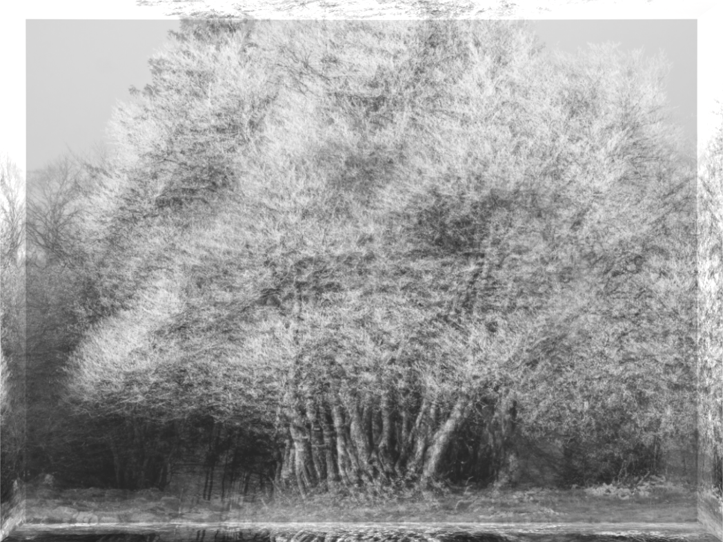 Main image Dreamlike vision #15 - Vision onirique #15