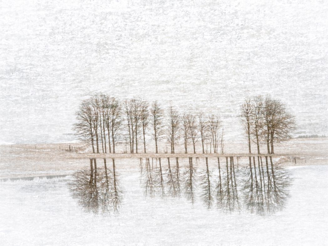 Main image Dreamlike vision #5 - Vision onirique #5