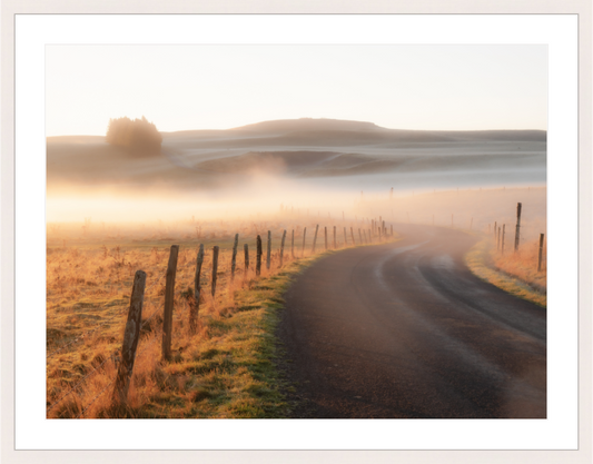 Main image Route dans la brume dorée
