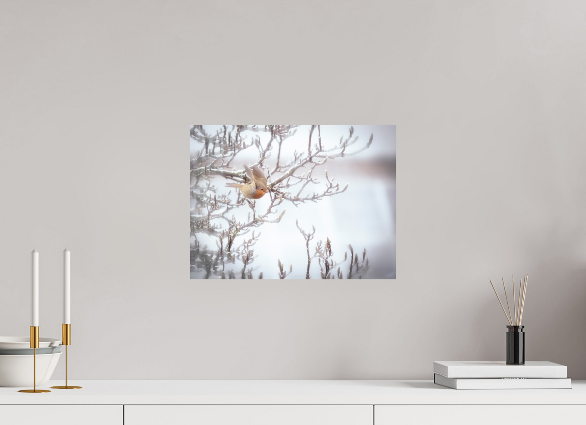 40 x 30 cm, 1- Tirage papier satiné couleur Animal #5