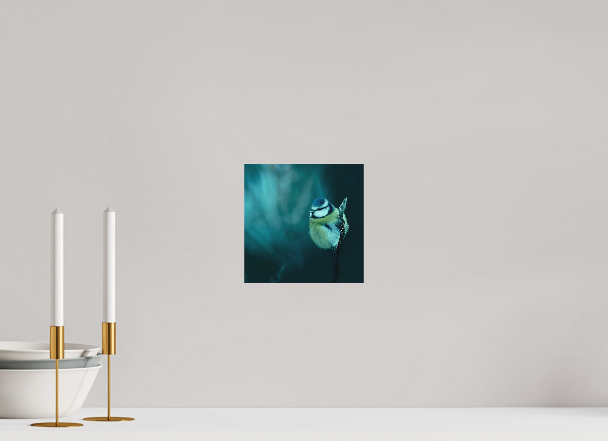 20 x 20 cm, 1- Tirage papier satiné couleur Animal #3