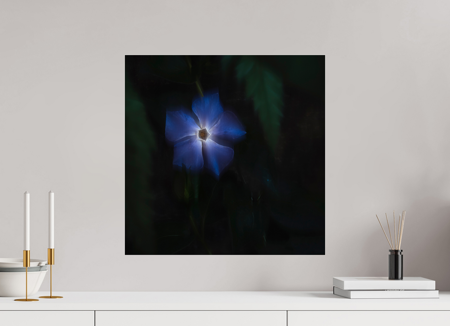 50 x 50 cm, Tirage couleur sur support solide en aluminium, recouvert d’une protection transparente (plexiglas). Pervenche