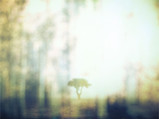 Main image Dreamlike vision #6 - Vision onirique #6