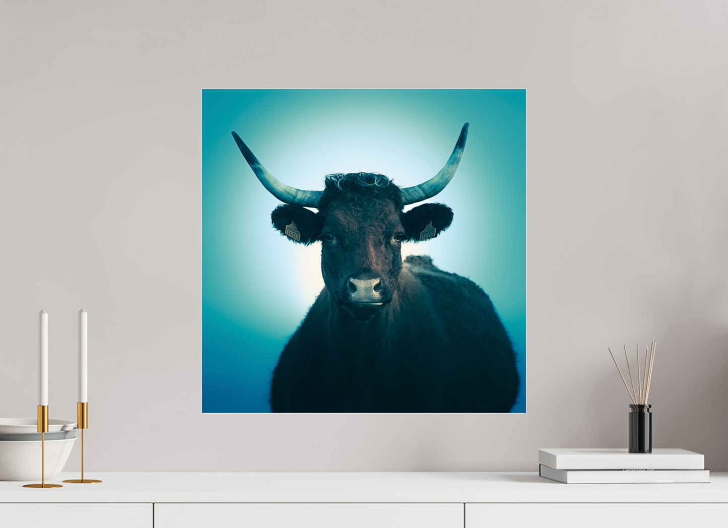 50 x 50 cm, Tirage couleur sur support solide en aluminium, recouvert d’une protection transparente (plexiglas). Vache Salers - Cantal - Auvergne - France