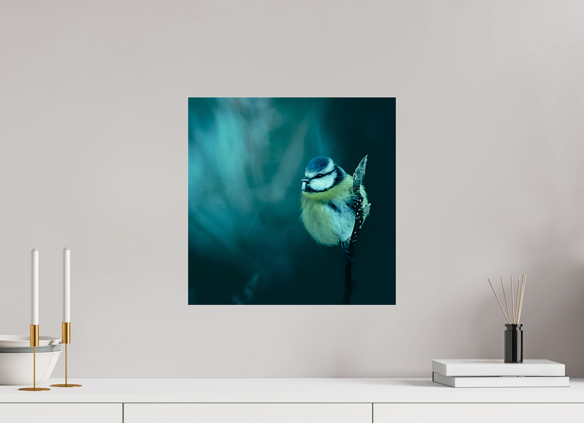 40 x 40 cm, 7- Tirage couleur collé sur Alu Dibond + plexiglass + système de fixation Animal #3