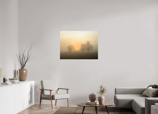100 x 75 cm, Impression directe couleur ou noir et blanc sur plaque d'aluminium (Solidité-Durabilité) Brume dorée au lever du soleil – Trois arbres dans la lumière