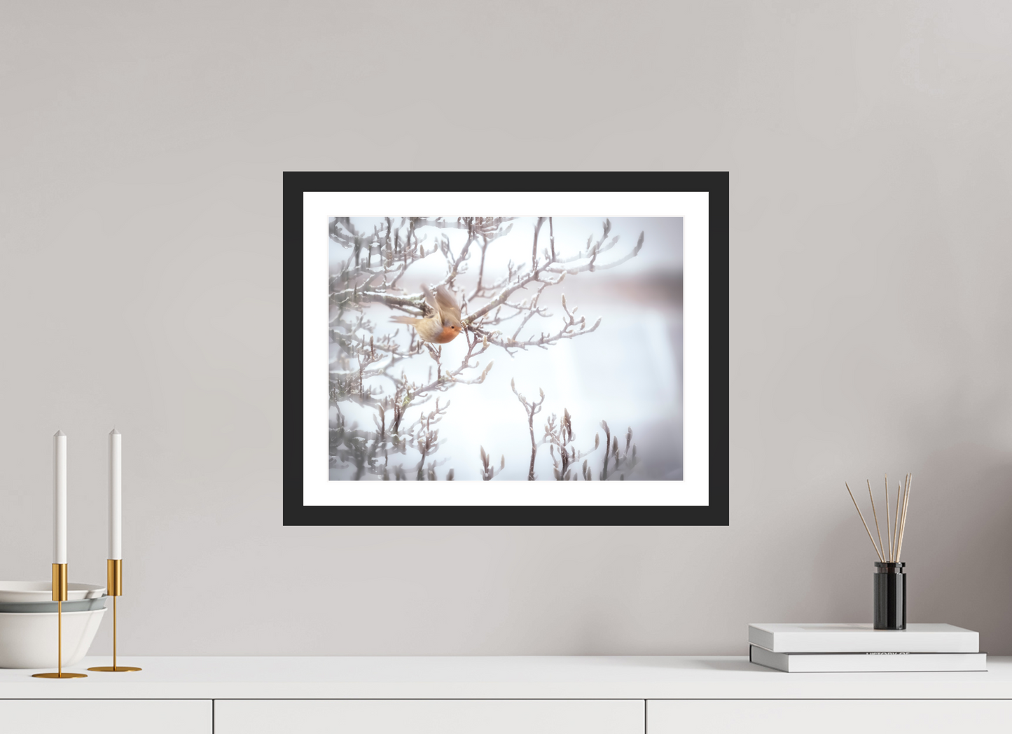 40 x 30 cm, 3- Tirage couleur + p.p + cadre Animal #5