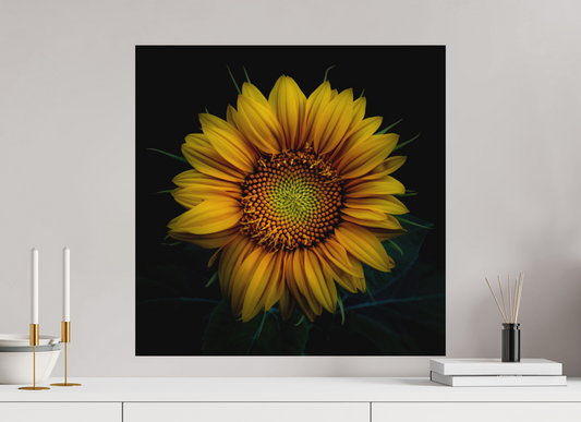 60 x 60 cm, Impression directe couleur ou noir et blanc sur plaque d'aluminium (Solidité-Durabilité) Coeur de tournesol