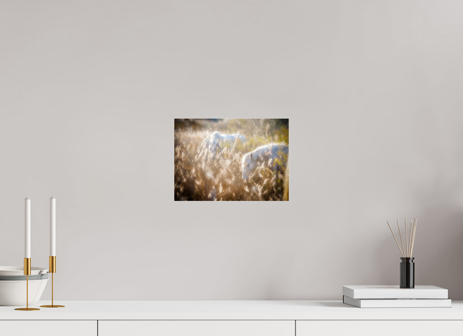 27,8 x 20 cm, 7- Tirage couleur collé sur Alu Dibond + plexiglass + système de fixation Animal #4