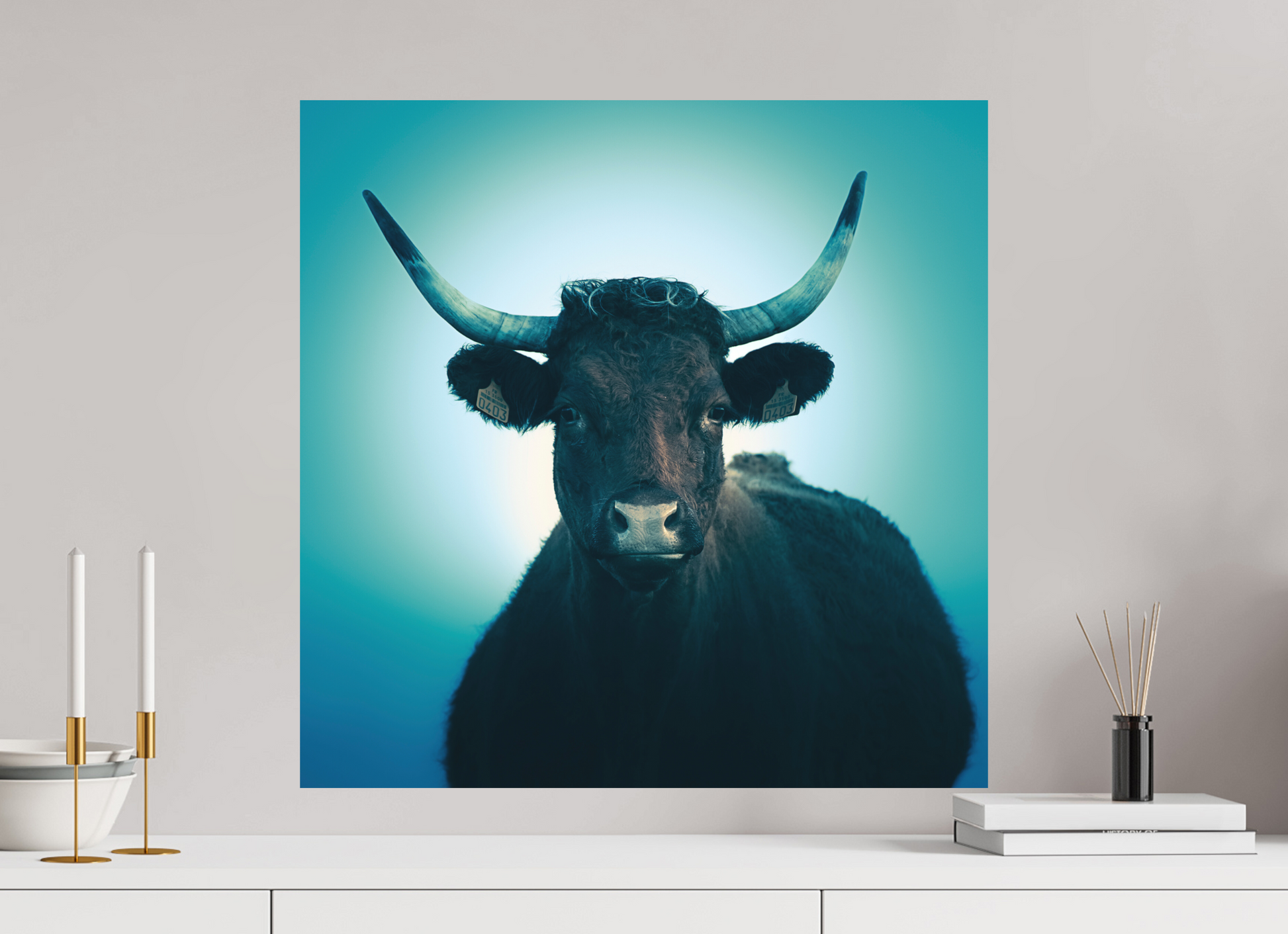 60 x 60 cm, Impression directe couleur ou noir et blanc sur plaque d'aluminium (Solidité-Durabilité) Vache Salers - Cantal - Auvergne - France