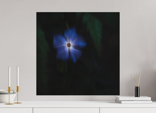 60 x 60 cm, Impression directe couleur ou noir et blanc sur plaque d'aluminium (Solidité-Durabilité) Pervenche