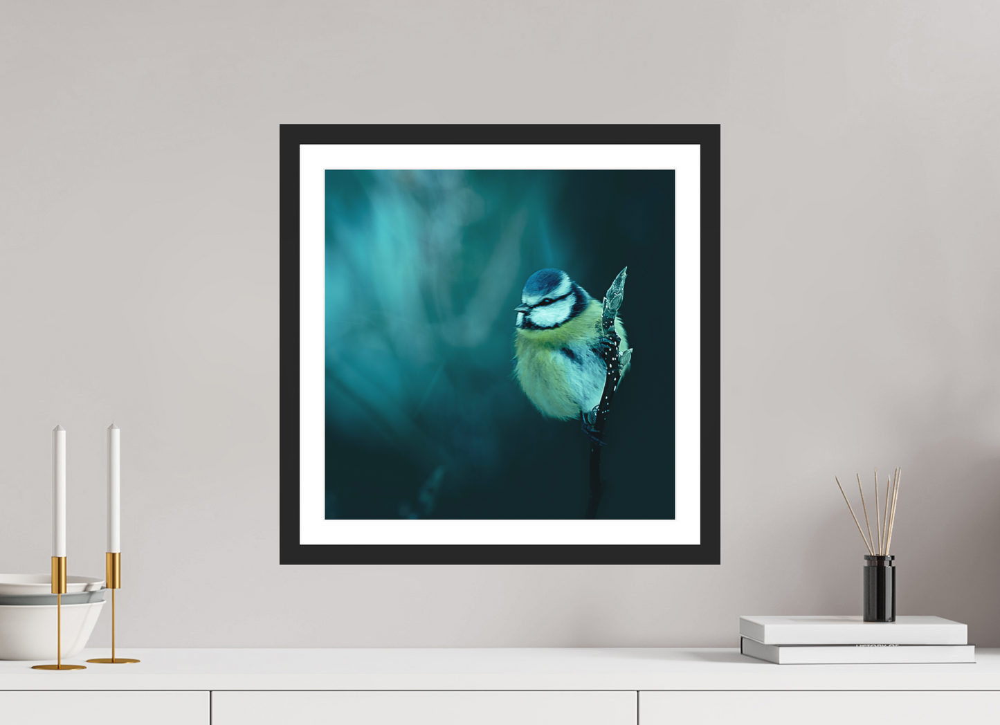 40 x 40 cm, 3- Tirage couleur + p.p + cadre Animal #3