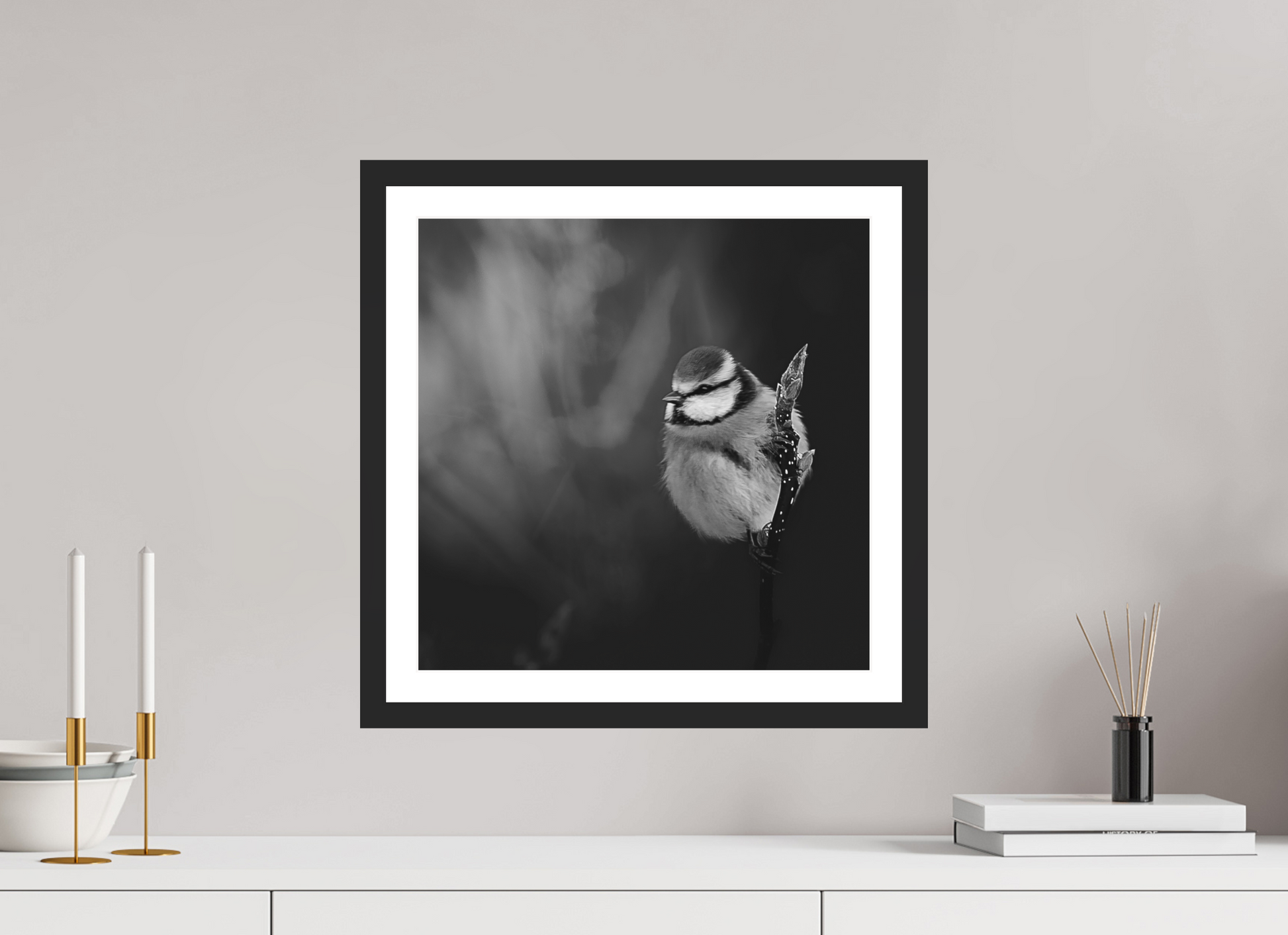 40 x 40 cm, 4- Tirage noir et blanc papier baryté + p.p + cadre Animal #3