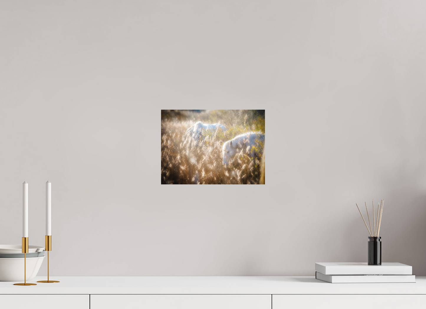 27,8 x 20 cm, 1- Tirage papier satiné couleur Animal #4