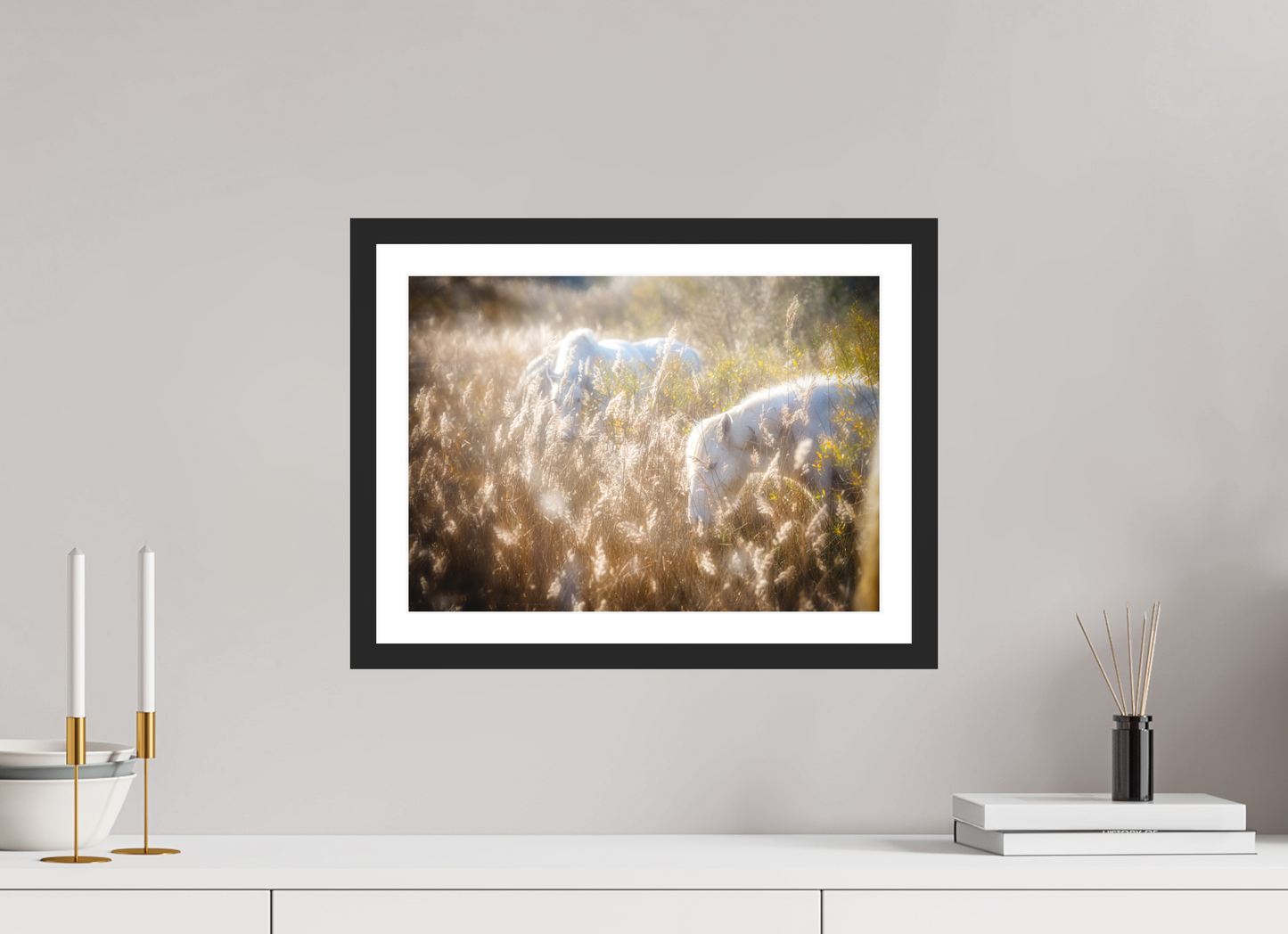 41,7 x 30 cm, 3- Tirage couleur + p.p + cadre Animal #4