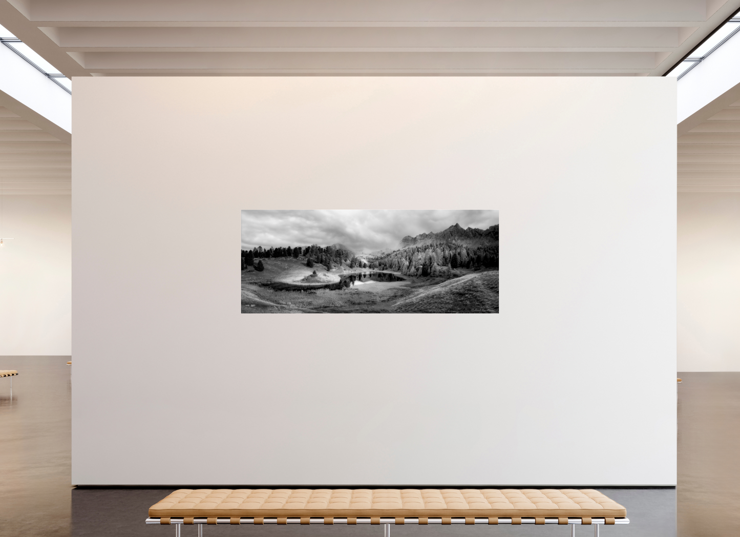 223,5 x 90 cm, Tirage noir et blanc sur plaque alu, avec une protection en plexiglass (durabilité-profondeur) Lac miroir Photo Artistique pour Décoration Murale