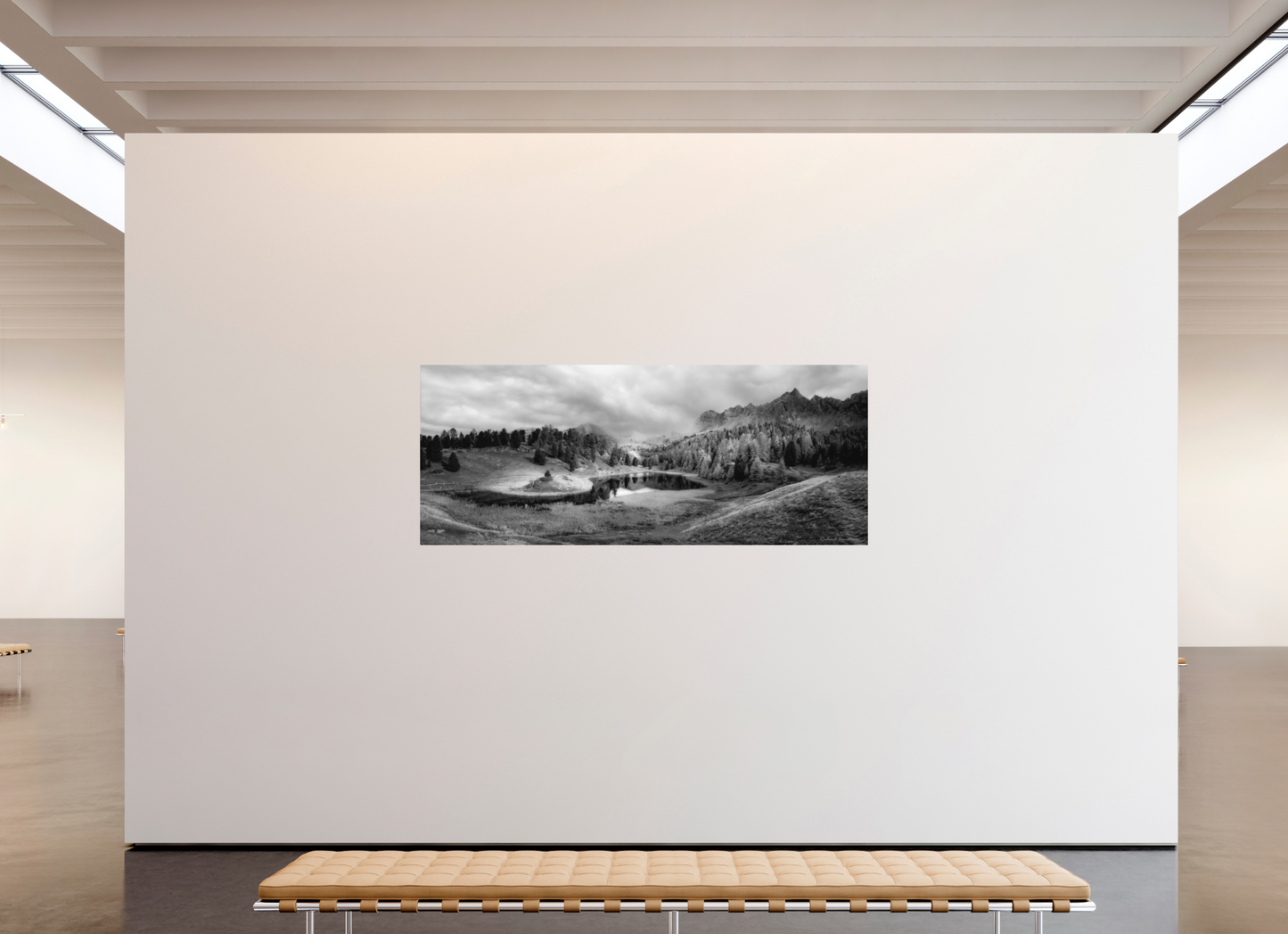 223,5 x 90 cm, 2- Tirage papier mat noir et blanc Mountains #1 - Montagnes #1 Poster Photo Artistique pour Décoration Murale