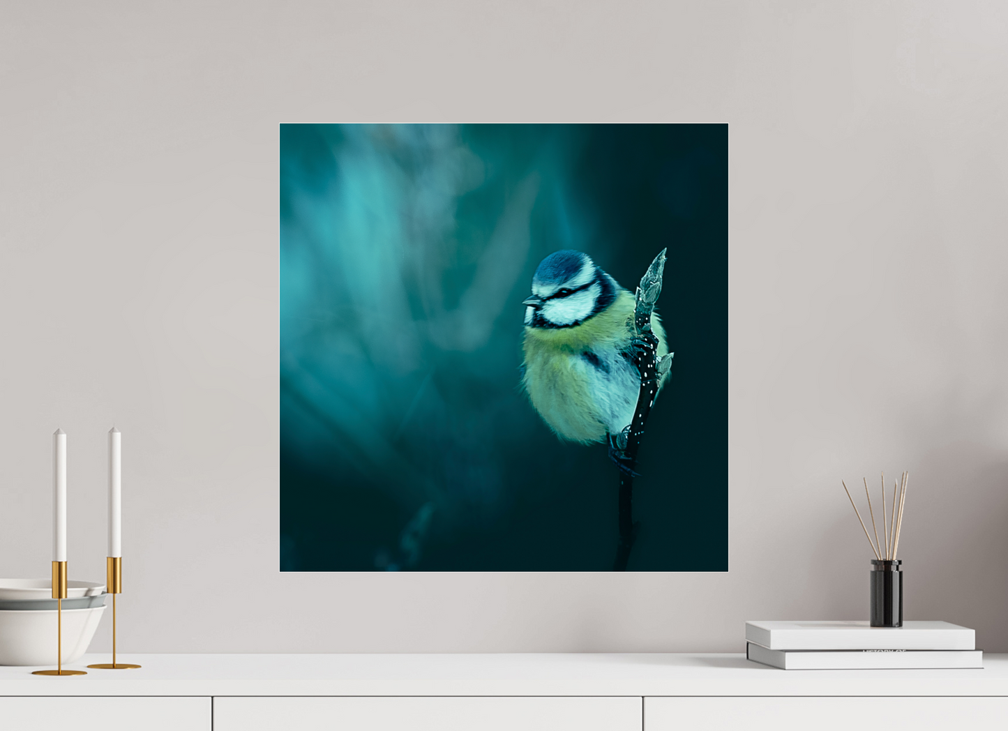 50 x 50 cm, Tirage couleur sur support solide en aluminium, recouvert d’une protection transparente (plexiglas). La belle bleue