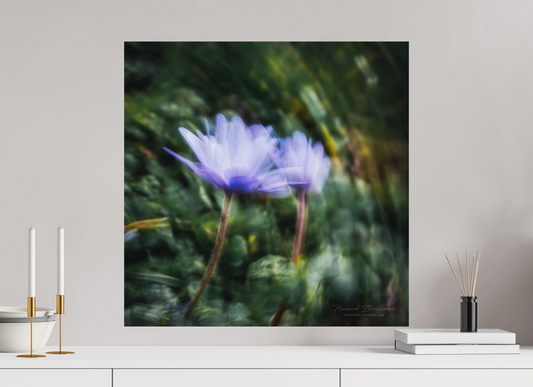 60 x 60 cm, Impression directe couleur ou noir et blanc sur plaque d'aluminium (Solidité-Durabilité) Le vent nous anime