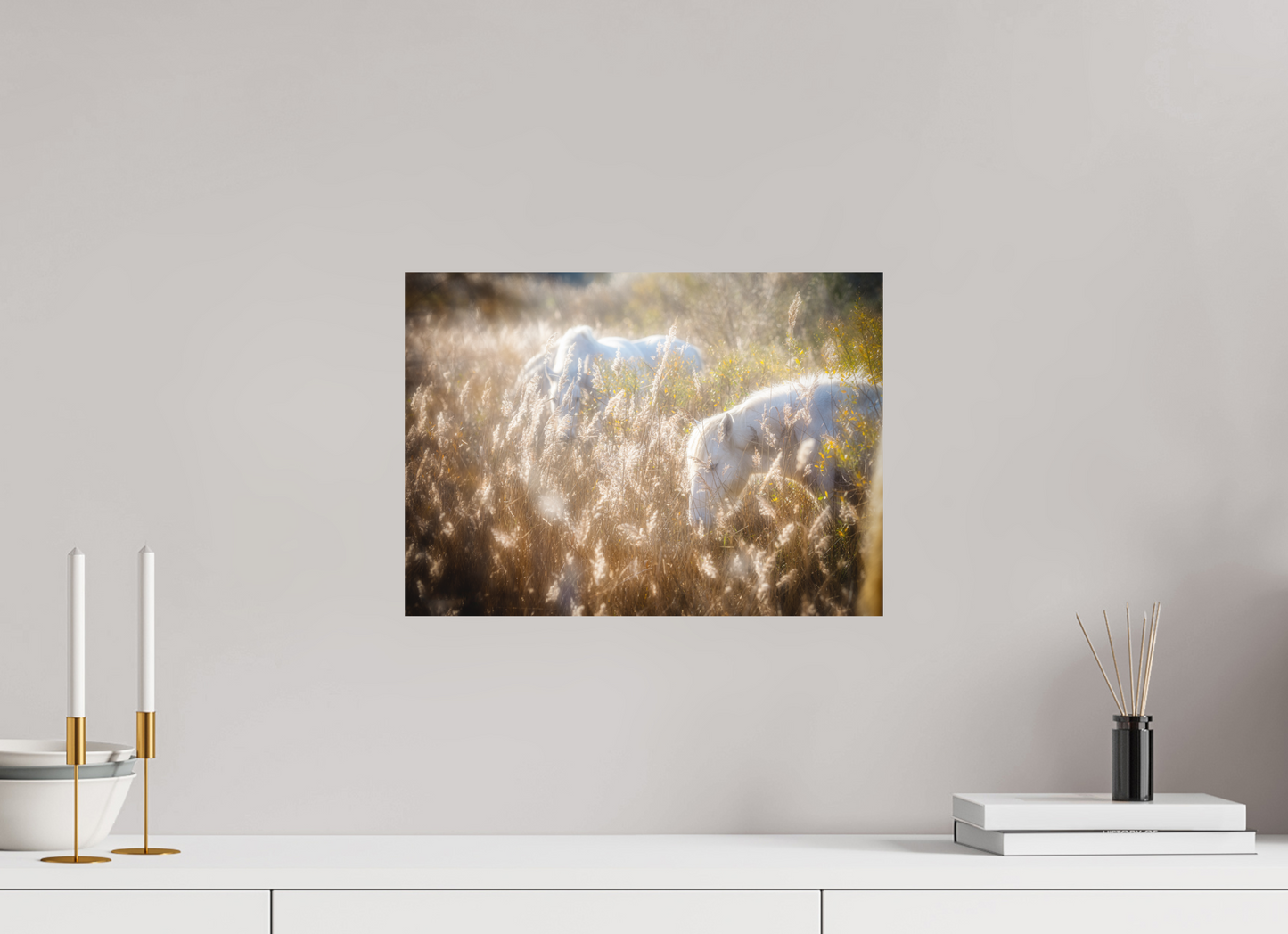 41,7 x 30 cm, 6- Impression directe couleur ou noir et blanc sur Alu Dibond + système de fixation Animal #4