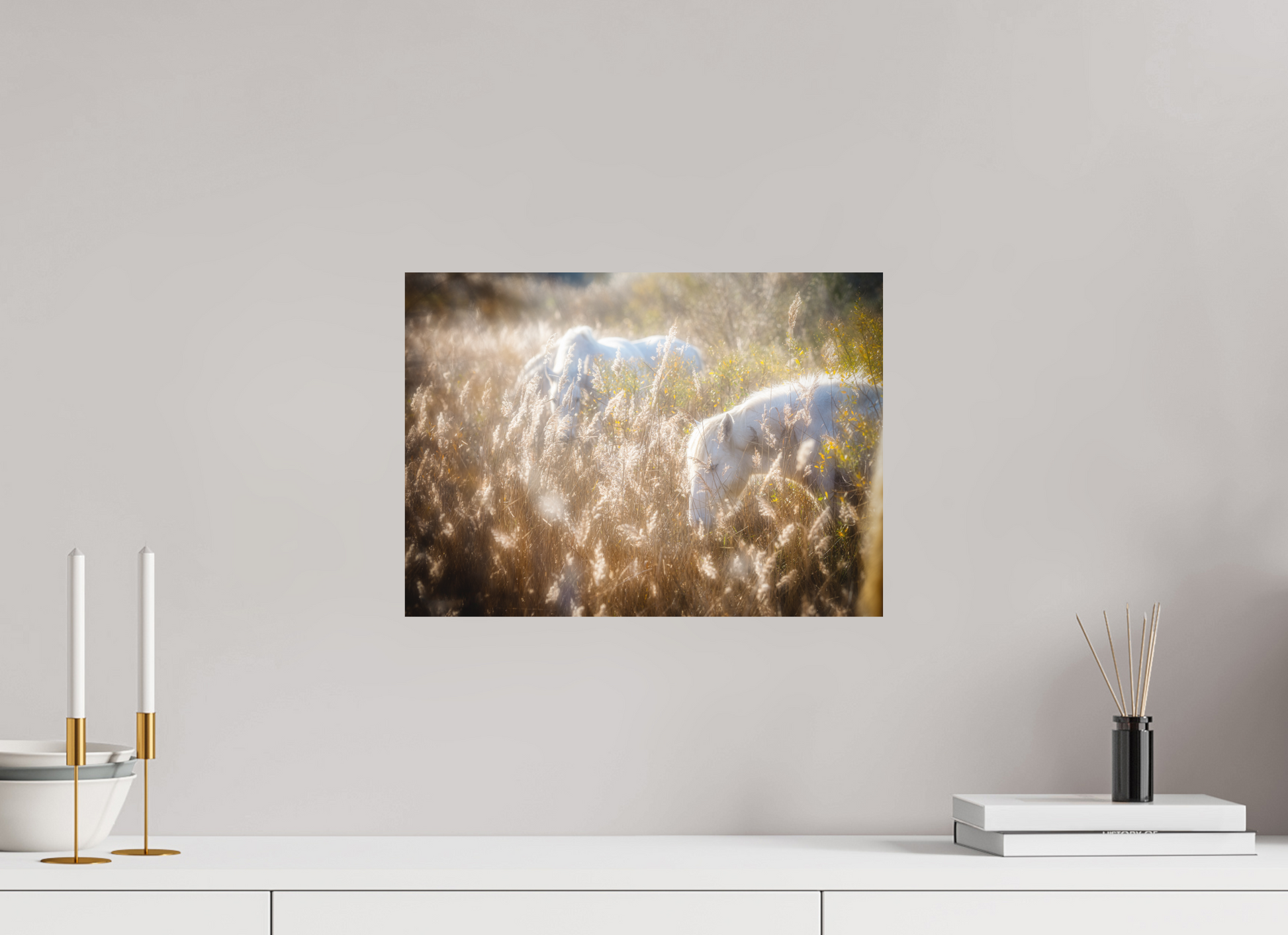 41,7 x 30 cm, 6- Impression directe couleur ou noir et blanc sur Alu Dibond + système de fixation Animal #4