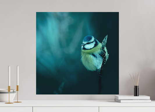 60 x 60 cm, Impression directe couleur ou noir et blanc sur plaque d'aluminium (Solidité-Durabilité) La belle bleue
