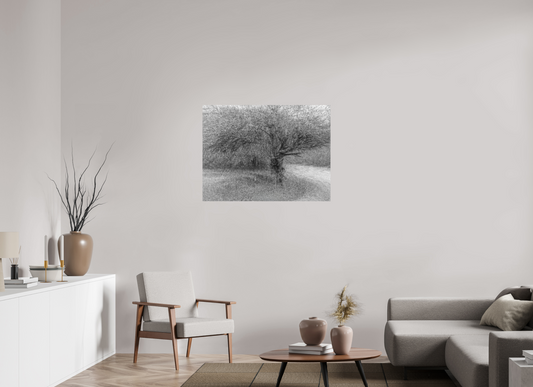100 x 75 cm, Impression directe couleur ou noir et blanc sur plaque d'aluminium (Solidité-Durabilité) Embrouillamini
