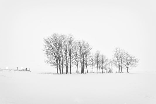 Main image Winter #4 - Hiver #4 Poster Photo Artistique pour Décoration Murale