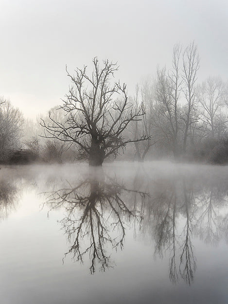 Main image Winter #5 - Hiver #5 Poster Photo Artistique pour Décoration Murale