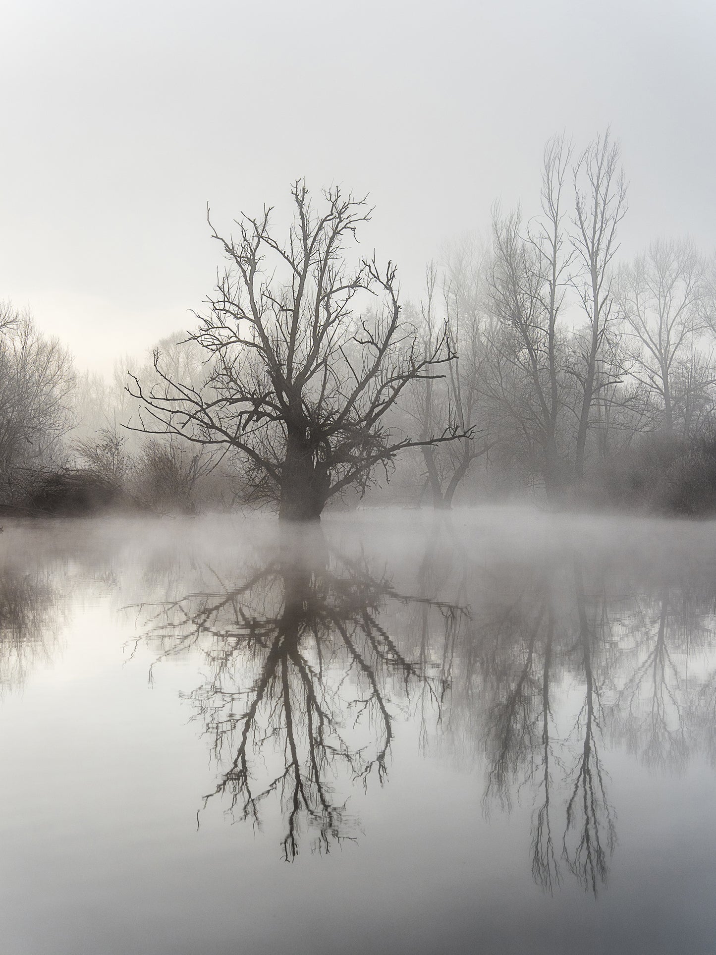 Reflet