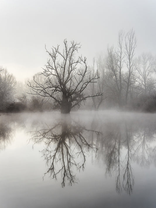 Reflet