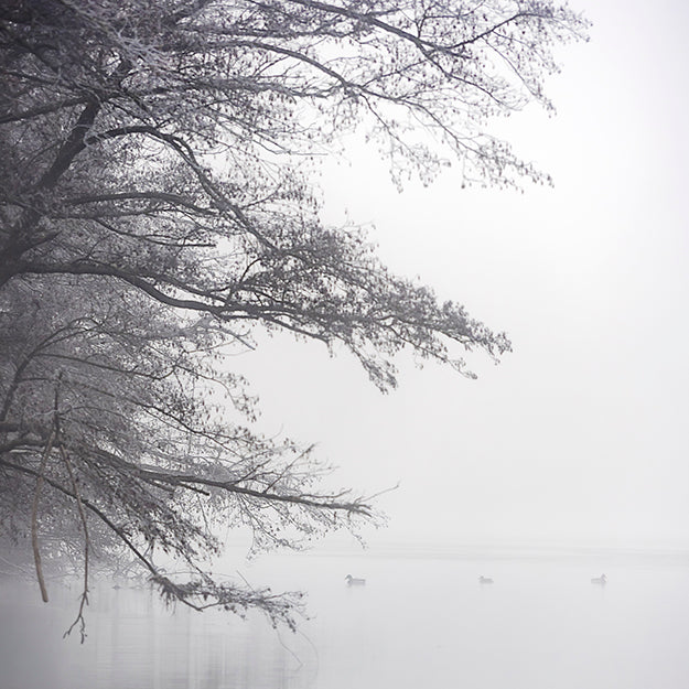 Main image Winter #18 – Hiver #18 | Photographie paysage hivernal minimaliste noir et blanc