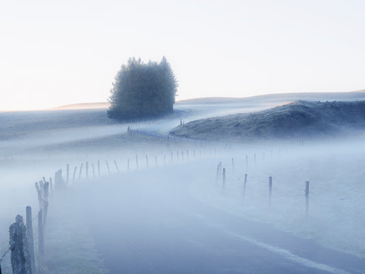 Main image Winter #16 – Hiver #16 | Photographie paysage hivernal onirique en noir et blanc bleuté