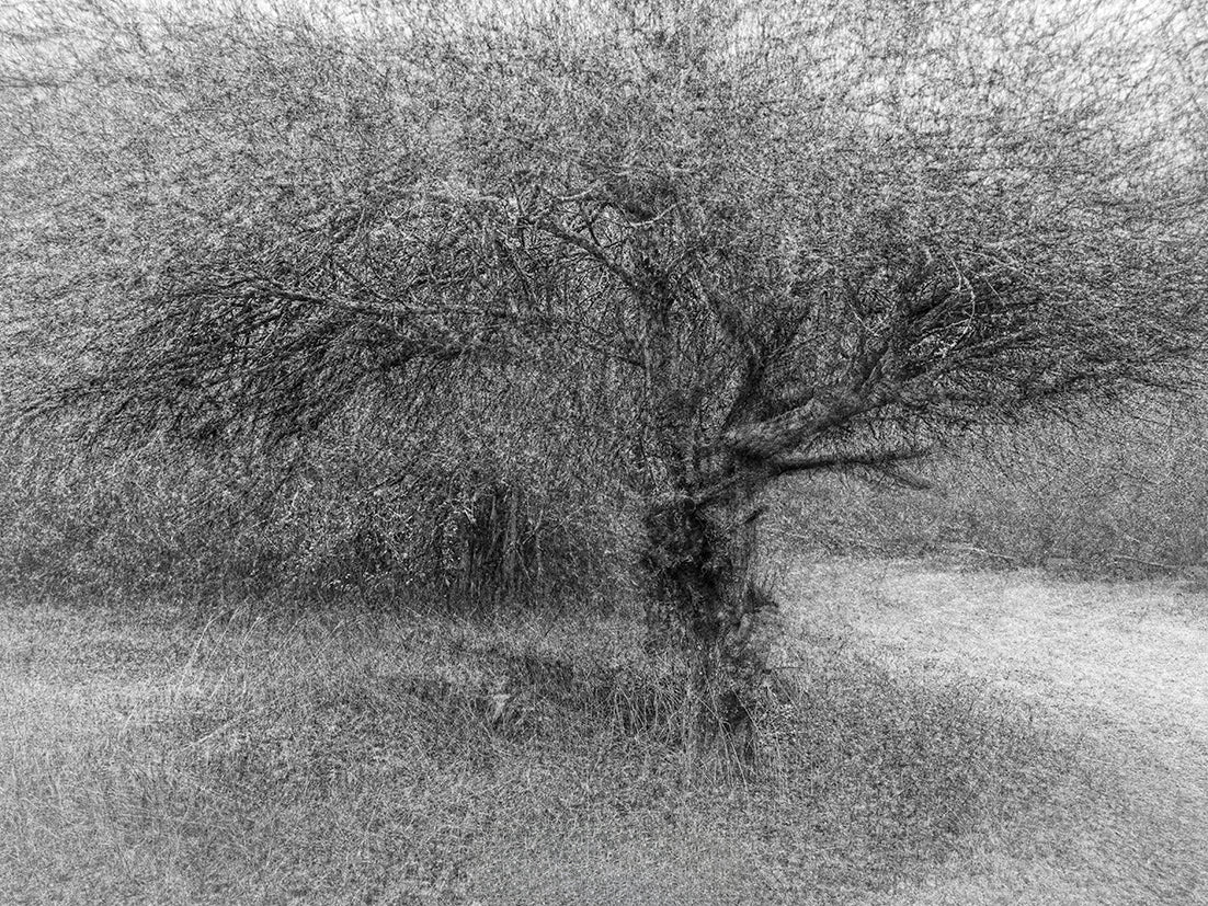 Main image Dreamlike vision #13 - Vision onirique #13 Poster Photo Artistique pour Décoration Murale