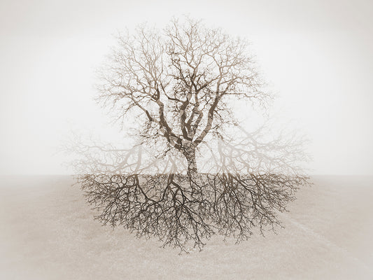 Main image Dreamlike vision #14 - Vision onirique #14 Poster Photo Artistique pour Décoration Murale