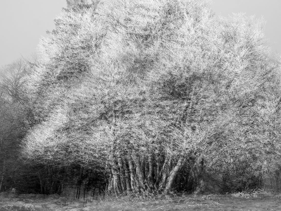 Main image Dreamlike vision #15 - Vision onirique #15 Poster Photo Artistique pour Décoration Murale