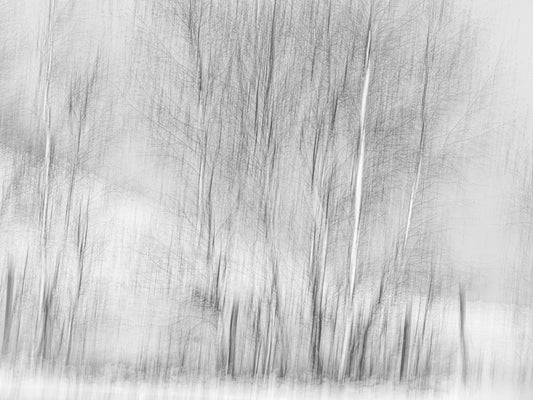 Main image Dreamlike vision #12 - Vision onirique #12 Poster Photo Artistique pour Décoration Murale