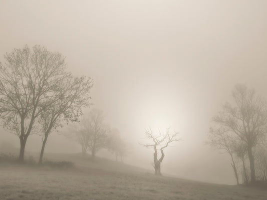 Main image Winter #9 - Hiver #9 Poster Photo Artistique pour Décoration Murale